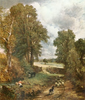 A heard of sheep through the woods